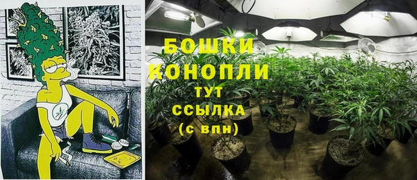 мяу мяу мука Абаза