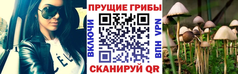 Псилоцибиновые грибы MAGIC MUSHROOMS  Вышний Волочёк 