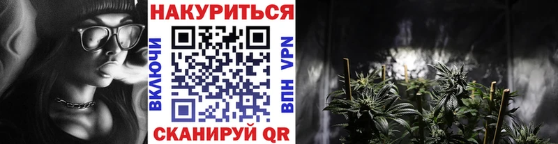 Канабис сатива Вышний Волочёк